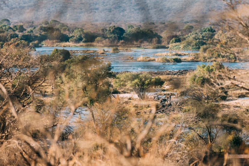 Riverine Conservation: Protecting the Zambezi River