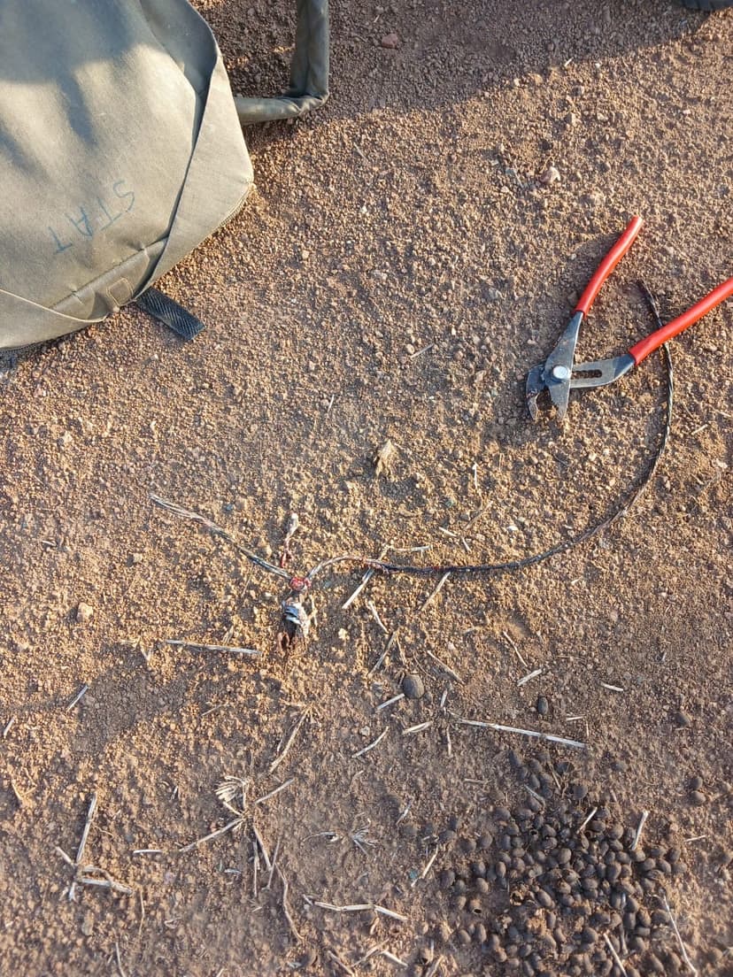 Tracking Heroes: Matetsi's Elephant Save