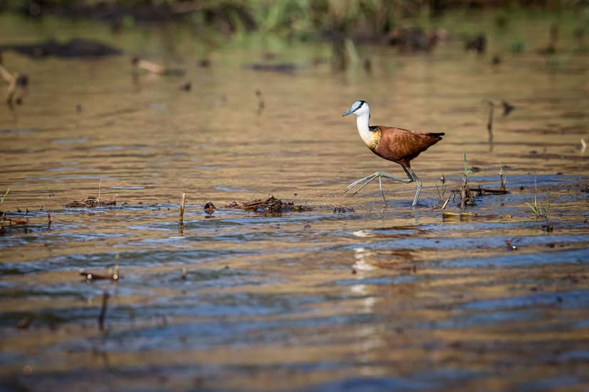 River of Life: Amaganyane's Protection Pledge