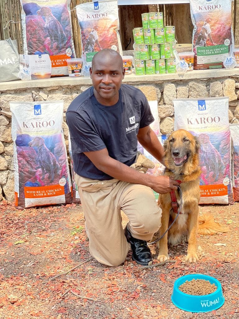 From Rescue to Rangers: The Journey of GRACE Foundation’s Anti-Poaching Dogs