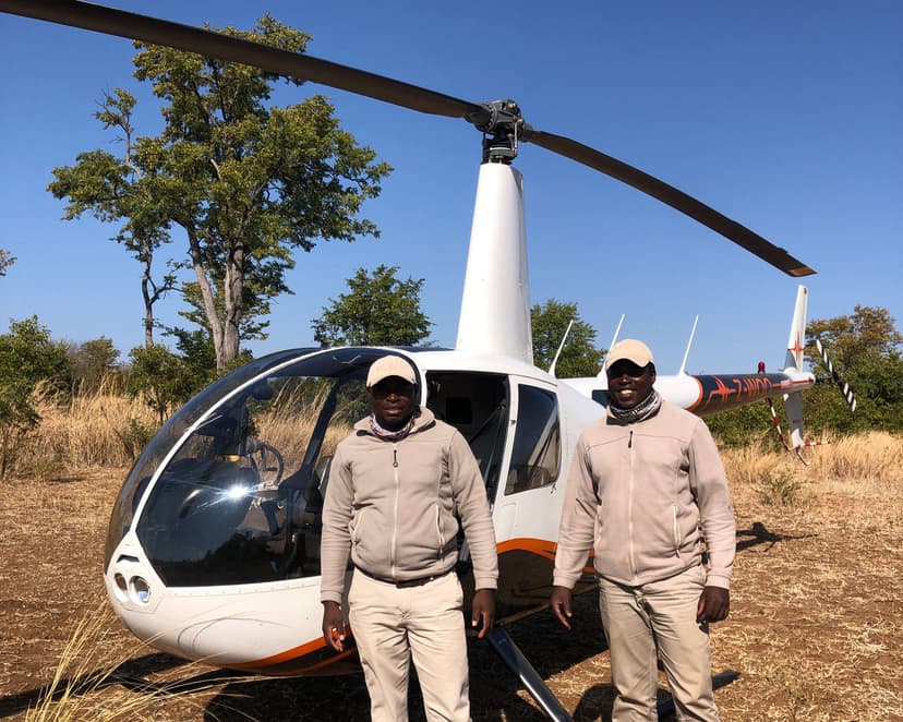Wildlife Translocations: Rebuilding Matetsi's Biodiversity
